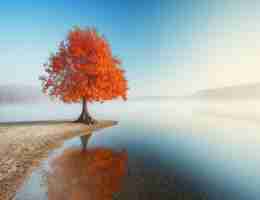 反‌爬​虫​原﻿理‍与‍绕﻿过‍实​战‍